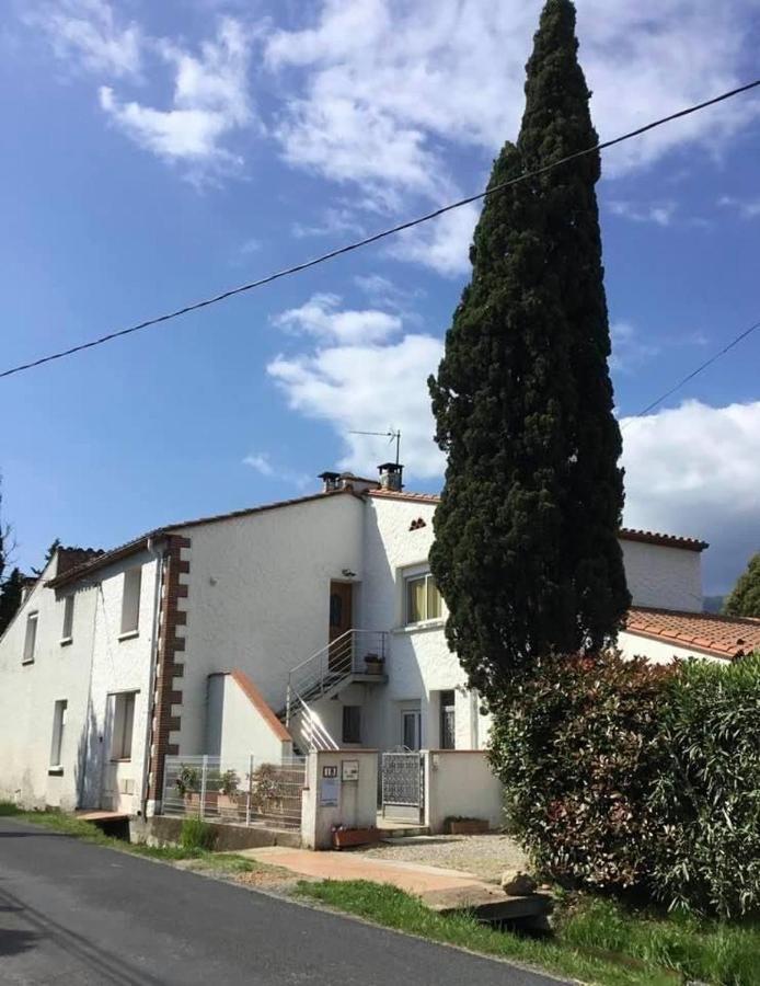 Bed and Breakfast Mas Pierre Maureillas Esterno foto
